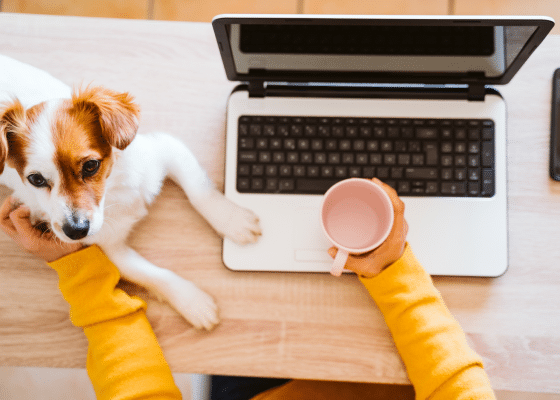 Femme avec chien blanc et caramel