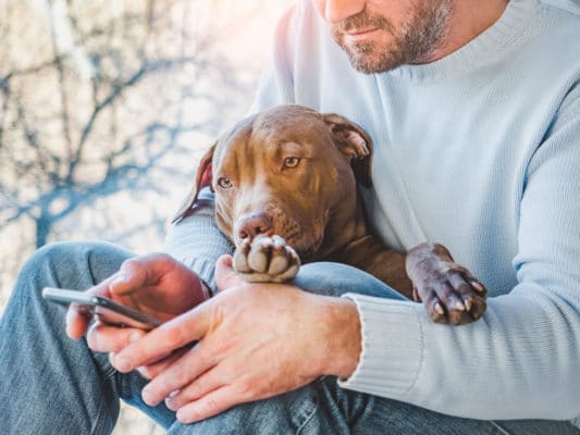 Handsome man and a charming puppy. Close-up