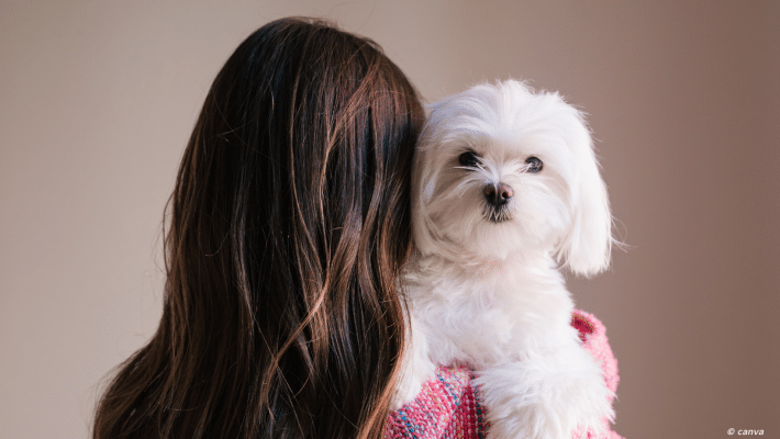 femme de dos avec un chiot bichon