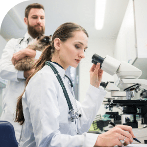 femme regardant au microscope des vers intestinaux