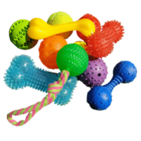 Jouets divers pour chien