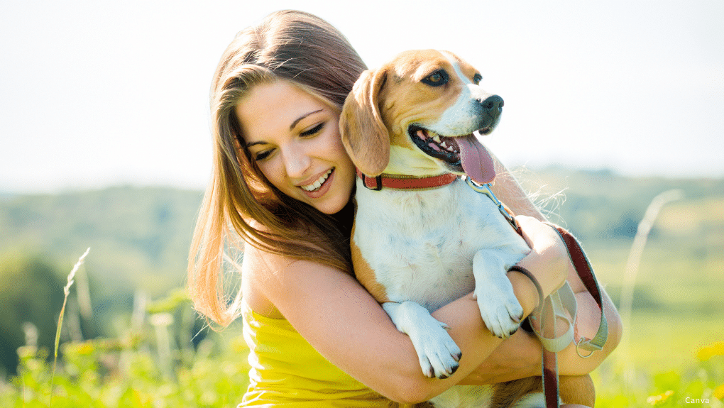 Chien avec sa maitresse en été