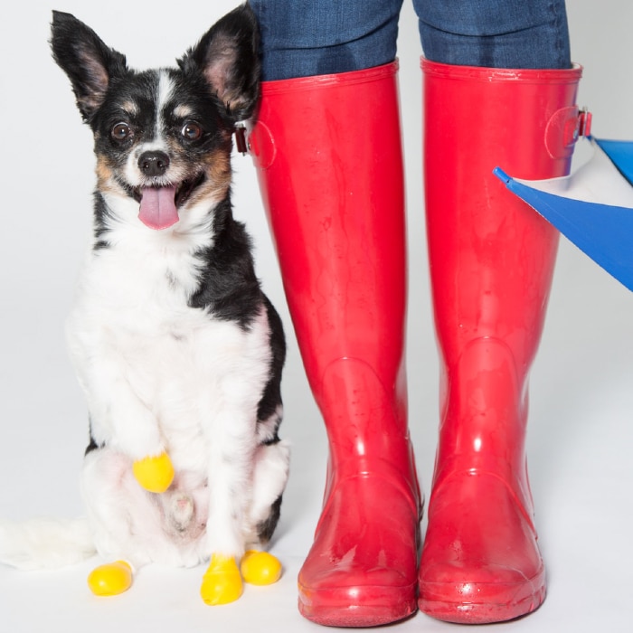 PAWZ Rubber boots