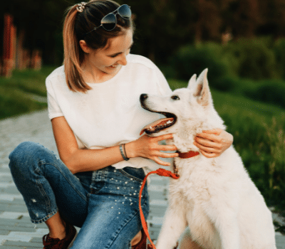 Regard complice chien et femme