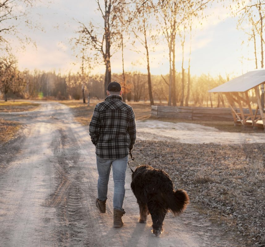 homme qui marche avec son chien sénior à l'extérieur au couché du soleil